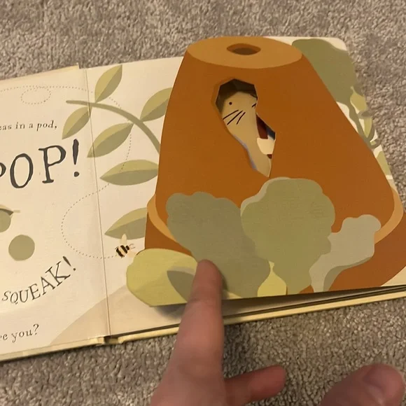 Easter Basket Bundle- Pat the Bunny and Peter Rabbit Peek a boo books - Picture 8 of 11